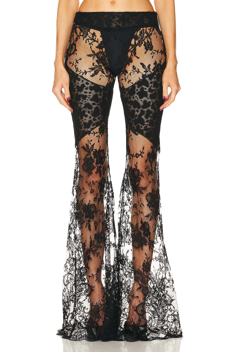Image 1 of Roberto Cavalli Flared Floreal Chantilly Lace Pant in Nero