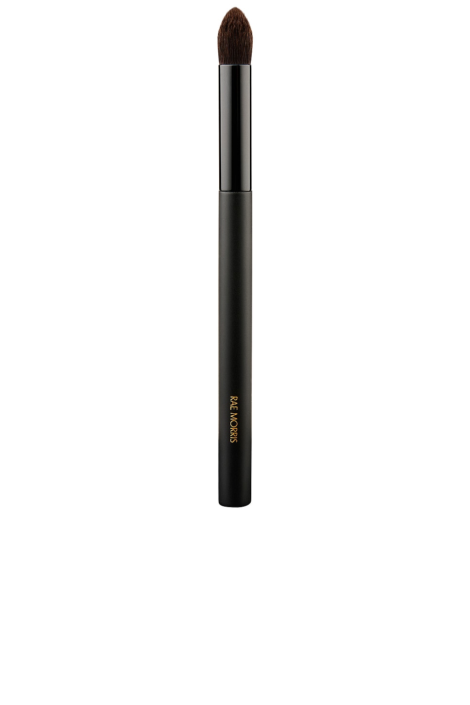 Rae Morris Deluxe Point Shader Brush