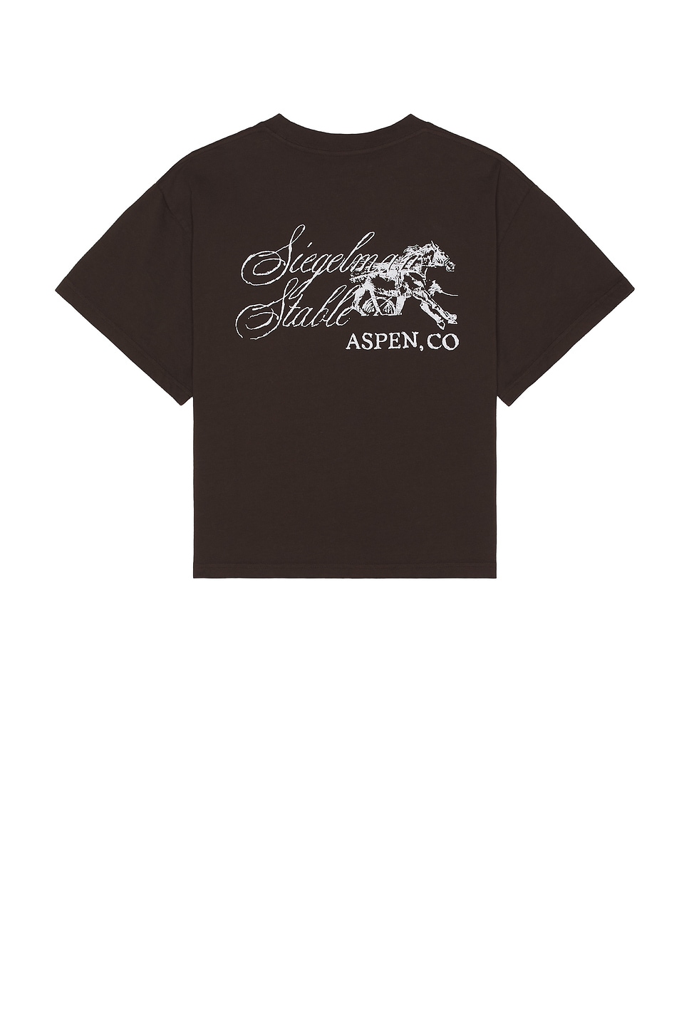 Image 1 of Siegelman Stable x FWRD Crop Tee in Chocolate Brown