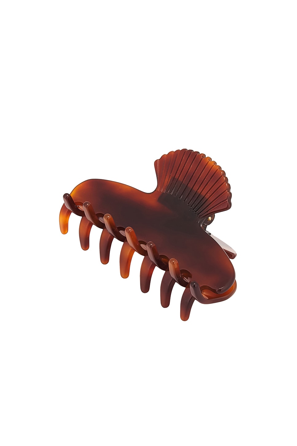 Small Fan Shell Hair Claw in Cognac