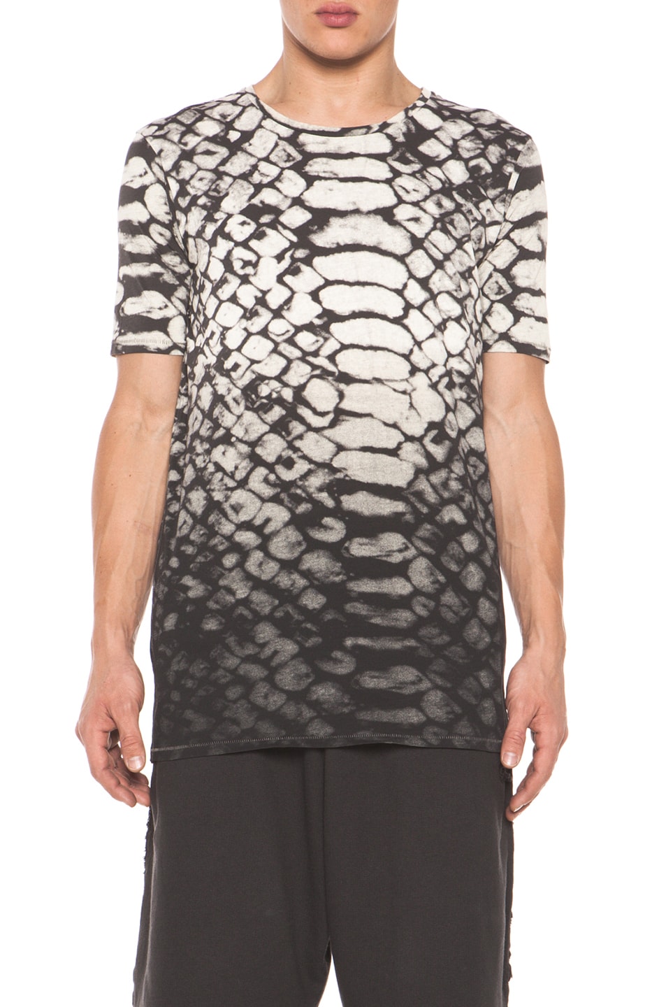 Image 1 of SILENT DAMIR DOMA Thujades Print Tee in Blizzard