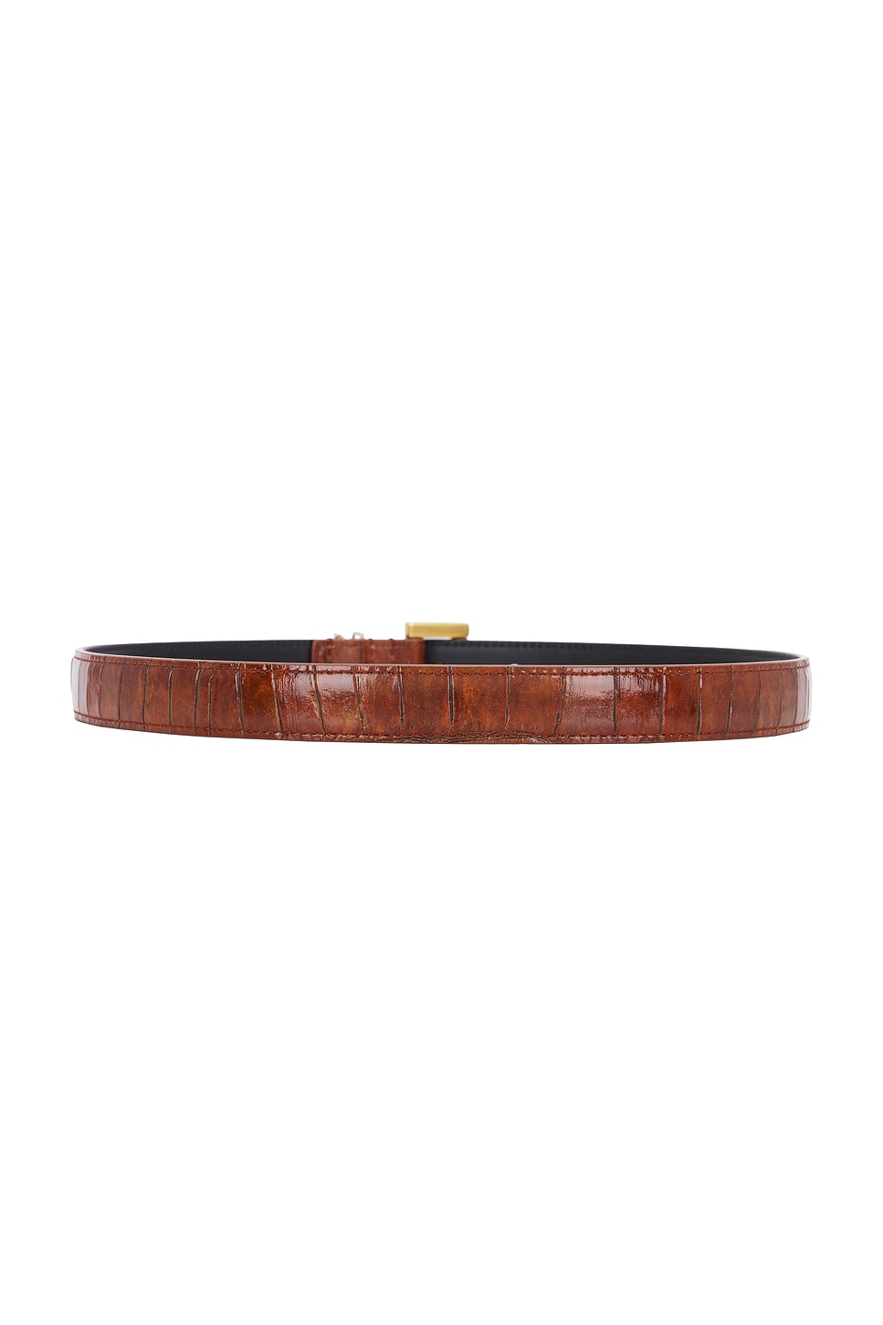 Saint Laurent Fine Ceinture Passant Cassandre Belt In Vegetal Brown