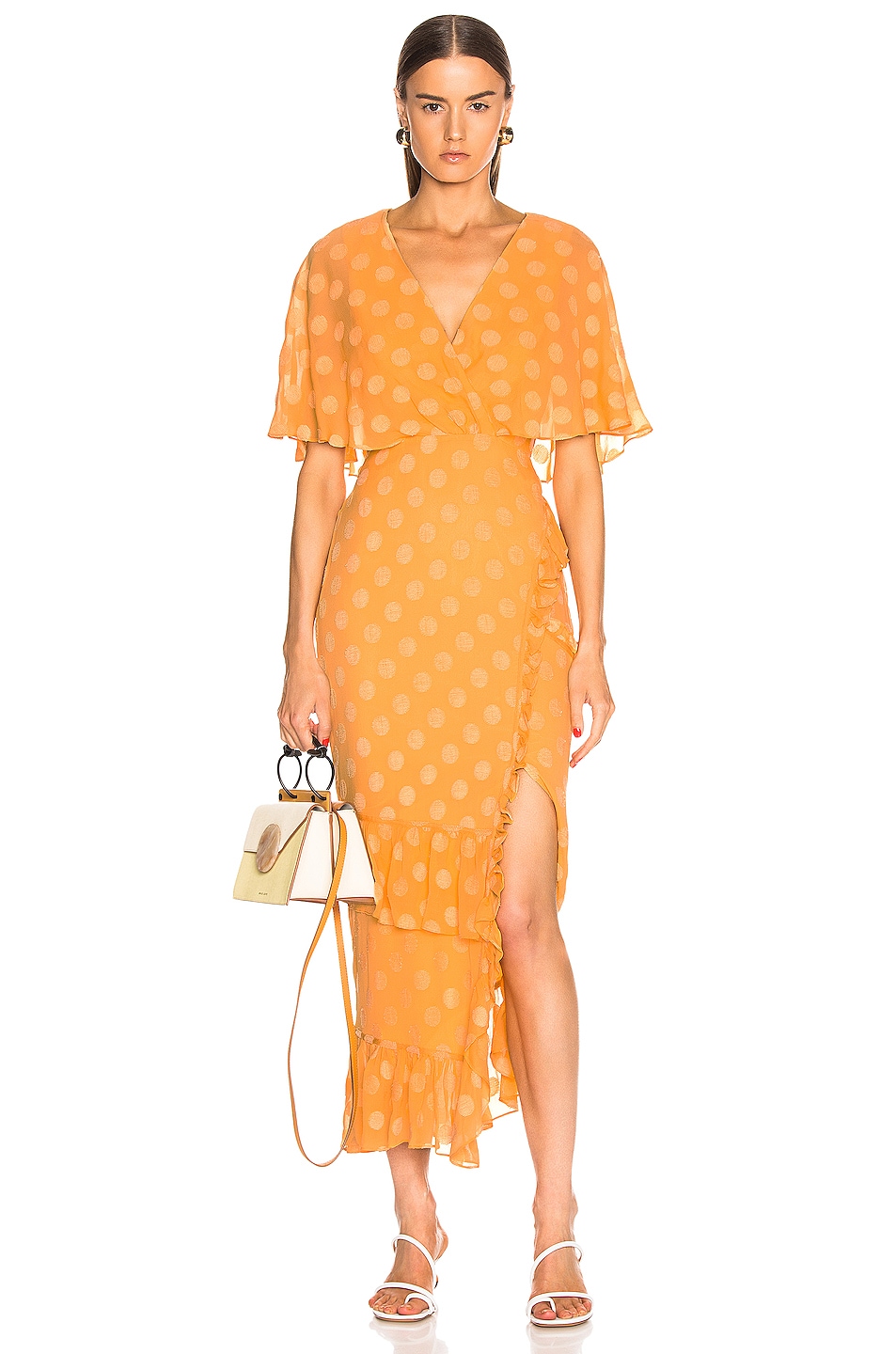 Image 1 of SALONI Rose Dress in Apricot