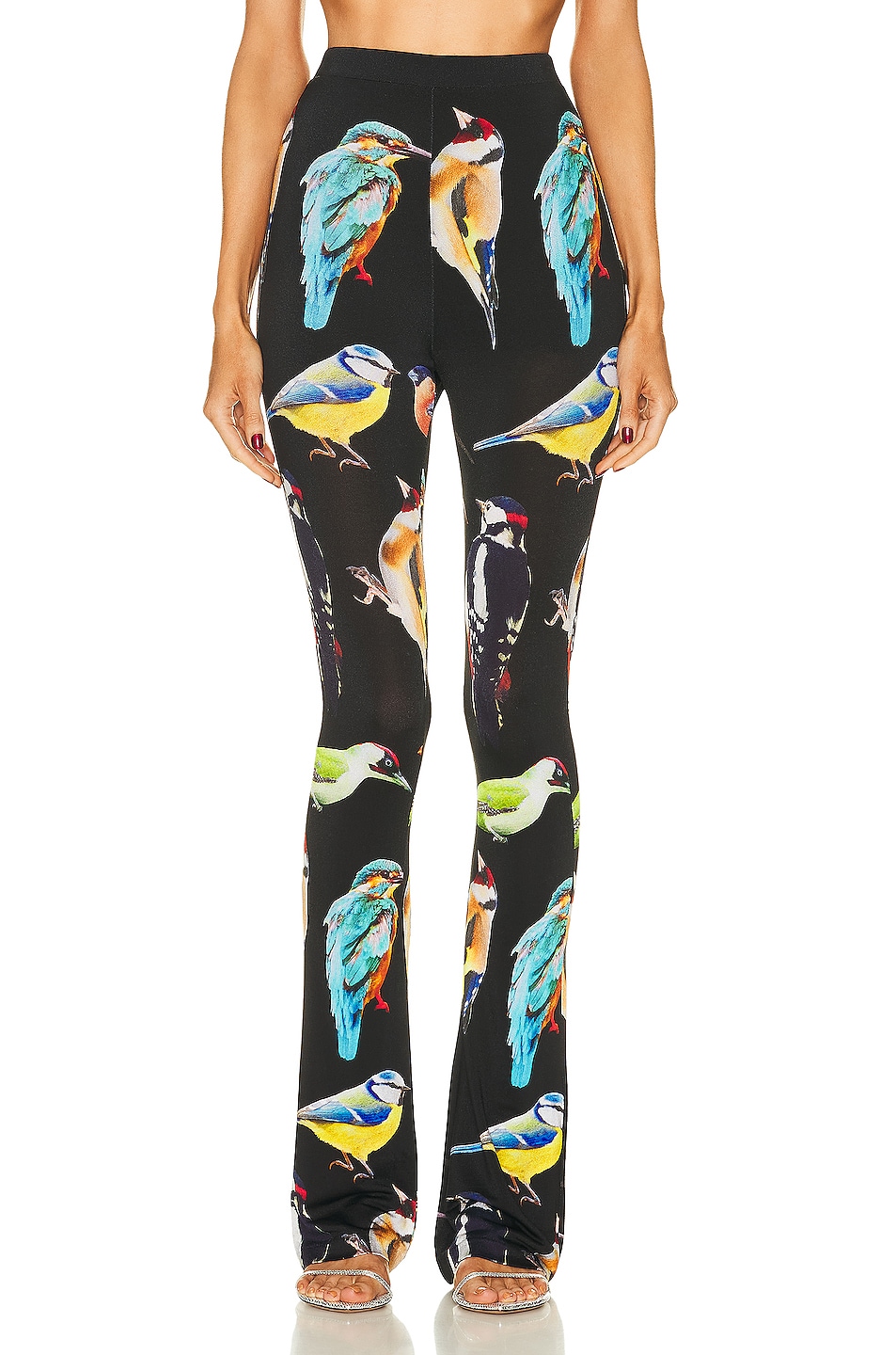Image 1 of Stella McCartney Bird Print Stretch Trouser in Multicolor