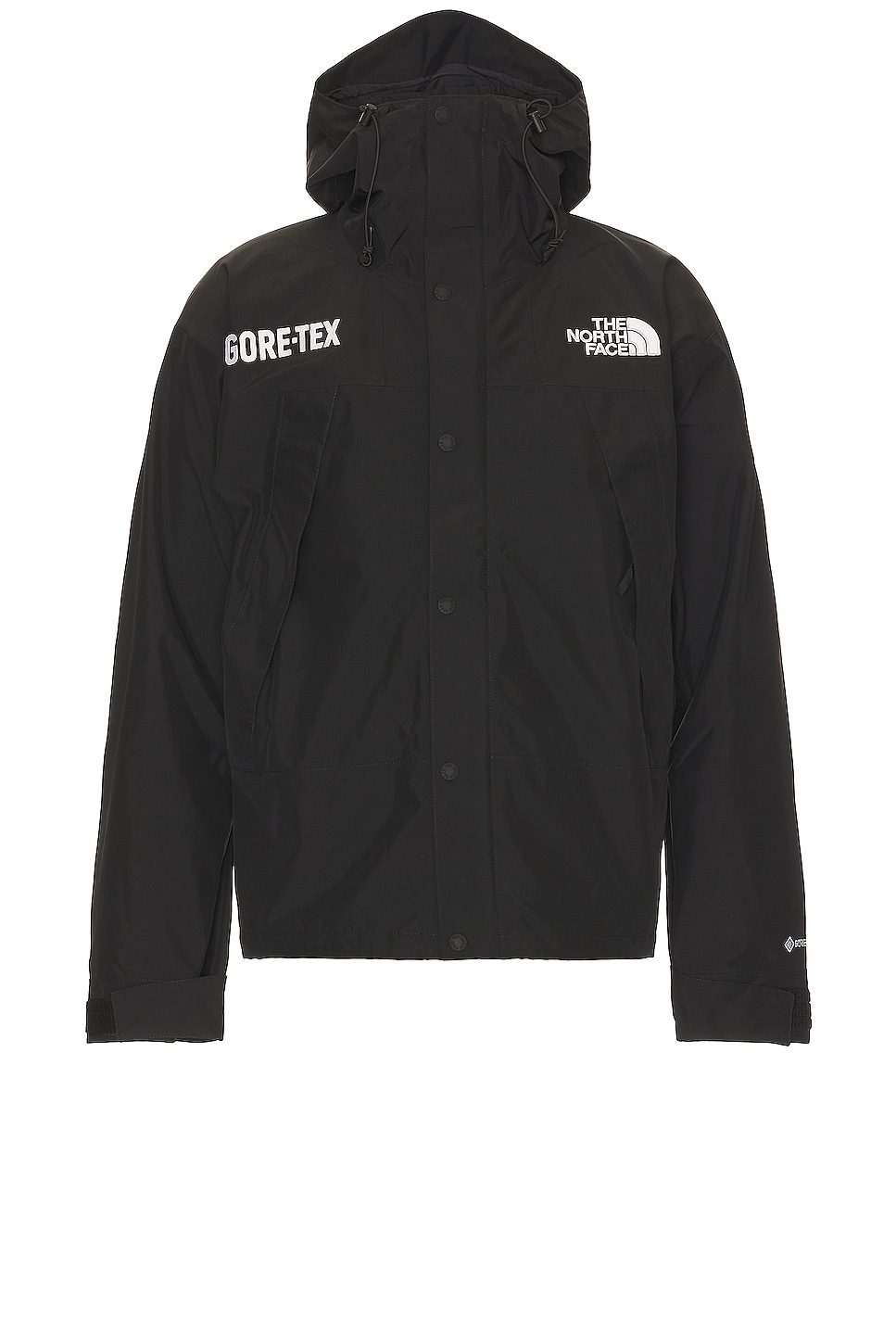 The North Face Gtx Mountain Jacket in Tnf Black | FWRD