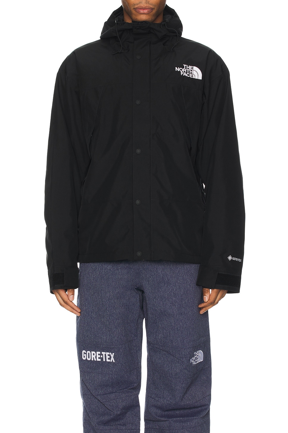 Image 1 of The North Face Gtx Mountain Jacket in Tnf Black