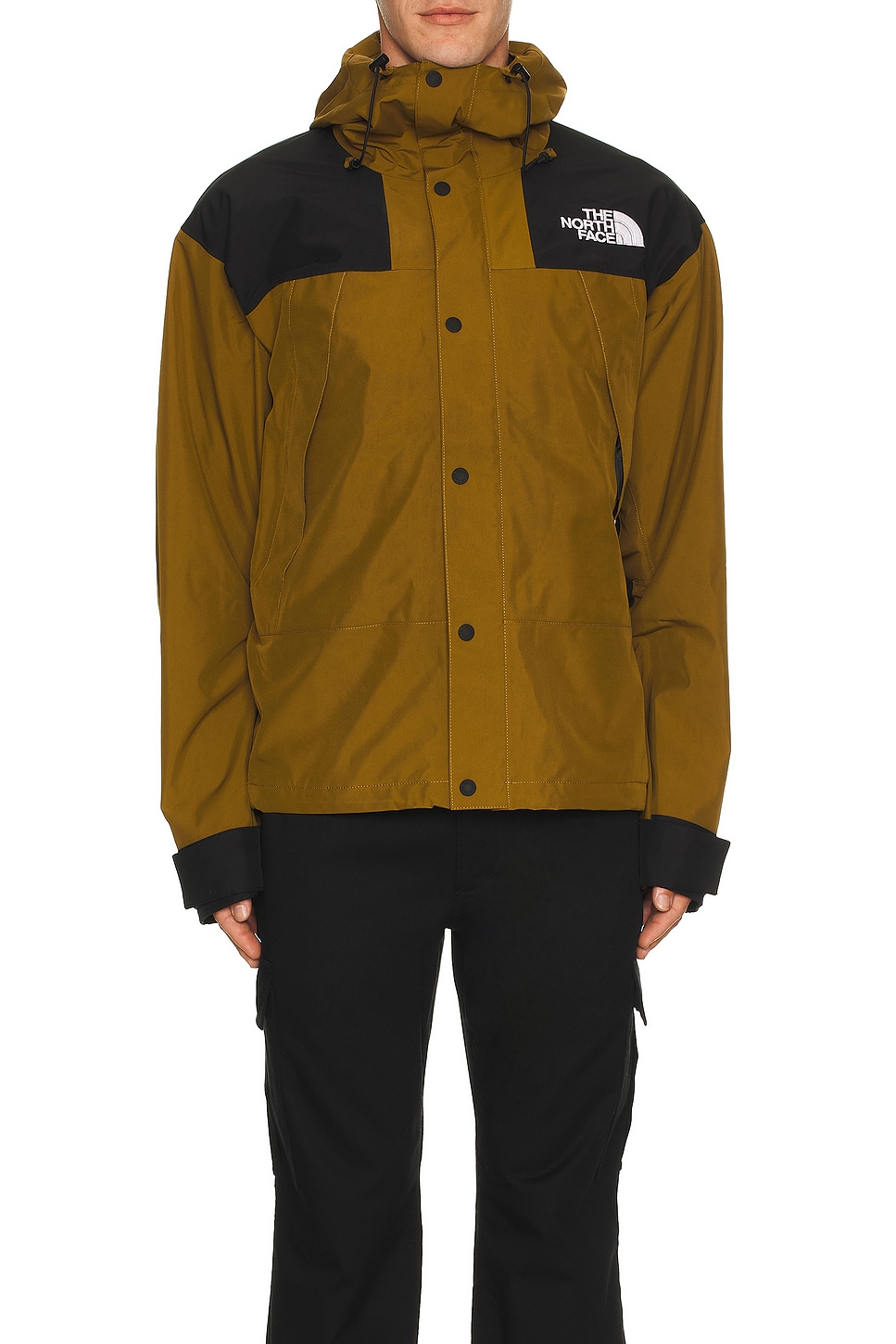 Image 1 of The North Face Men's GTX Mountain Jacket in Moss Green & TNF Black