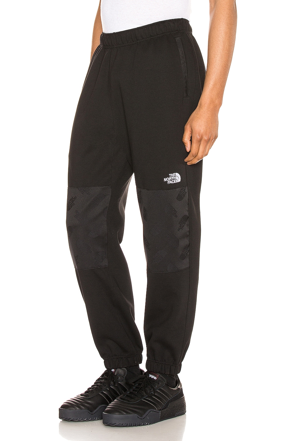 Image 1 of The North Face Graphic Collection Fleece Pant in TNF Black