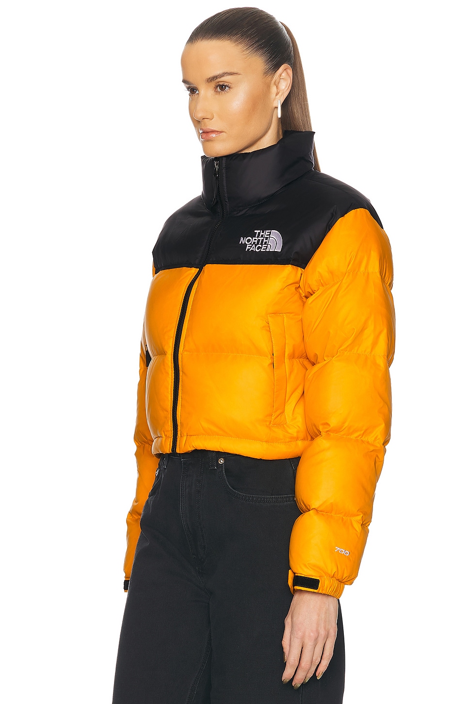 THE NORTH FACE NUPTSE SHORT JACKET