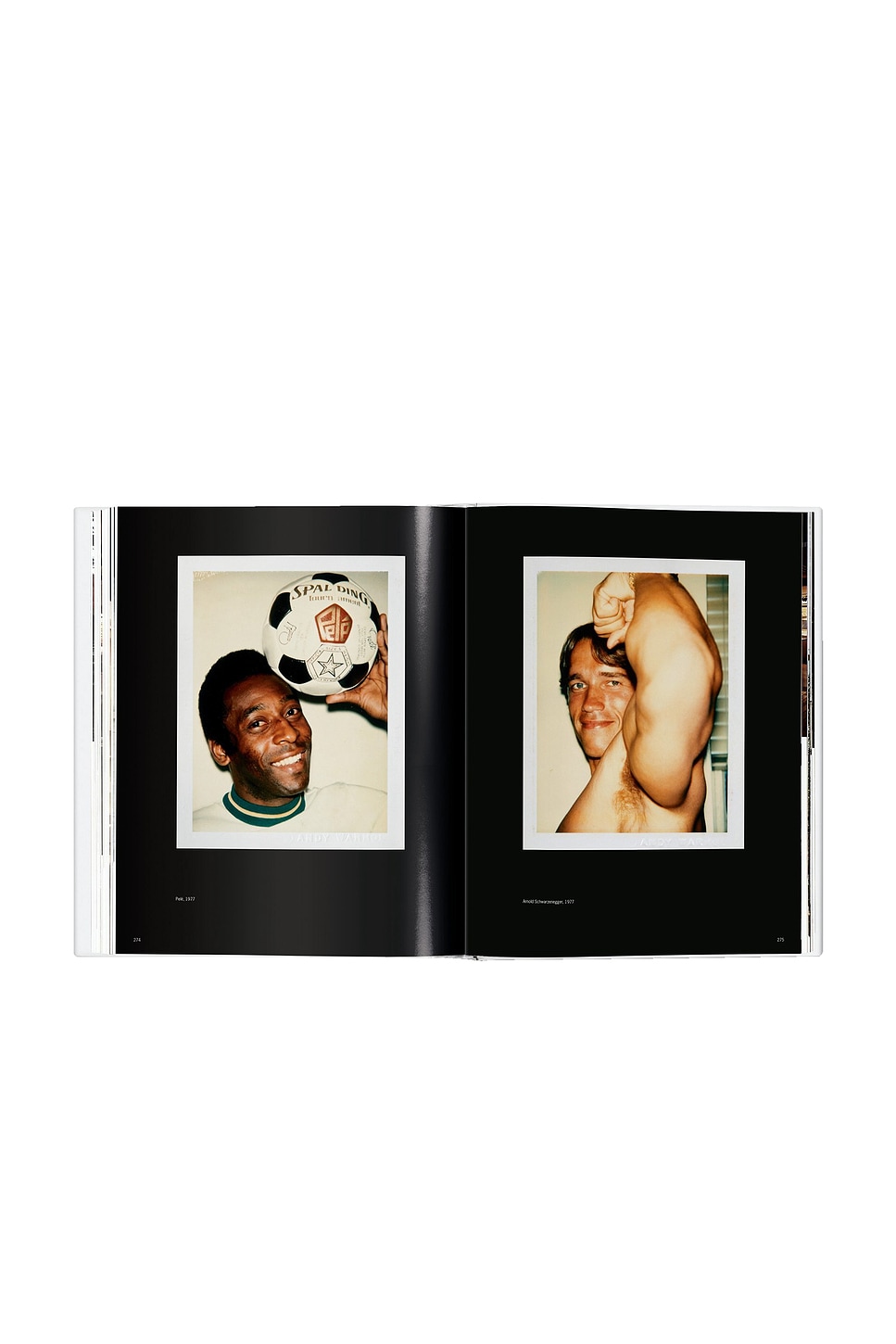 Taschen Andy Warhol. Polaroids 1958-1987 In Multi