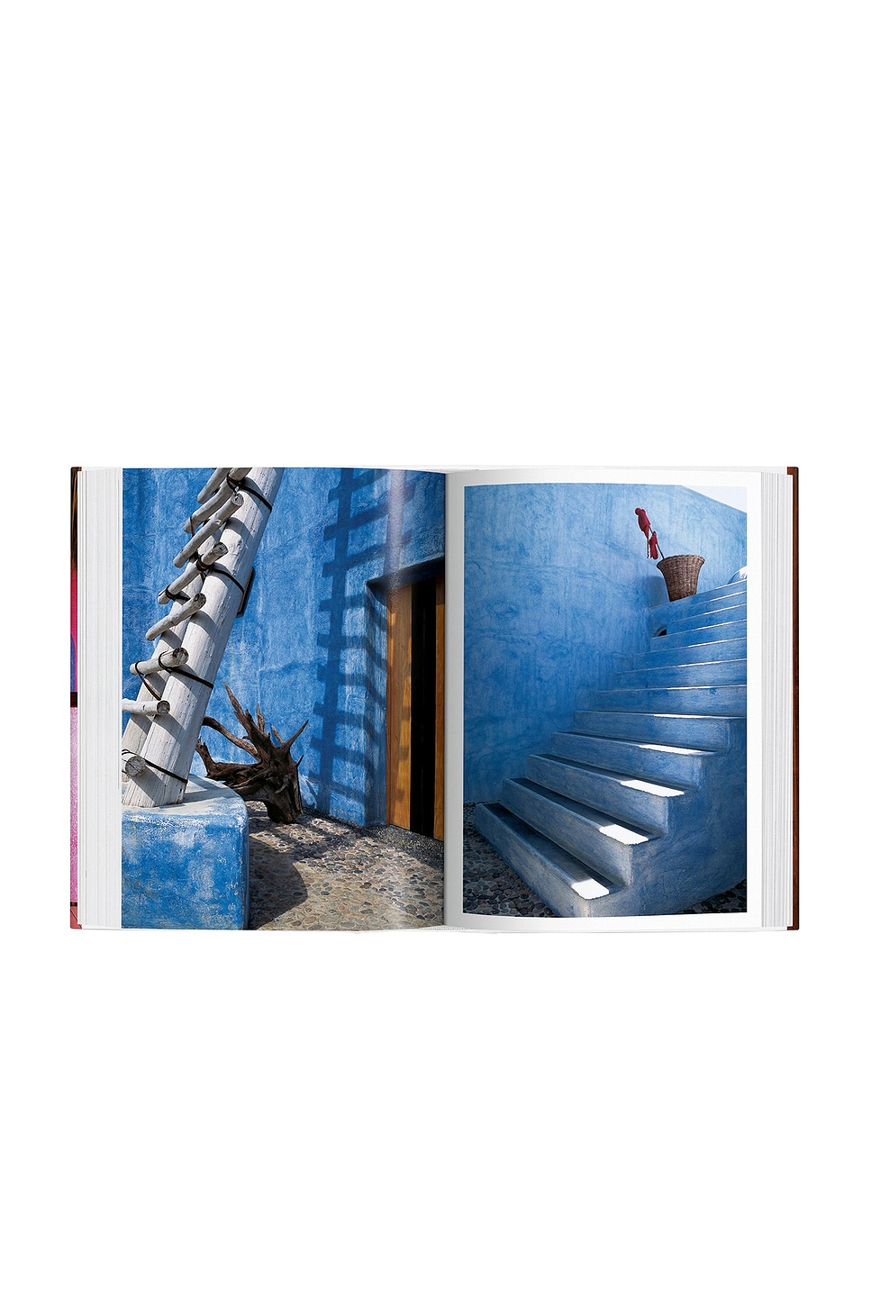 Living in Mexico 40th Anniversary Edition