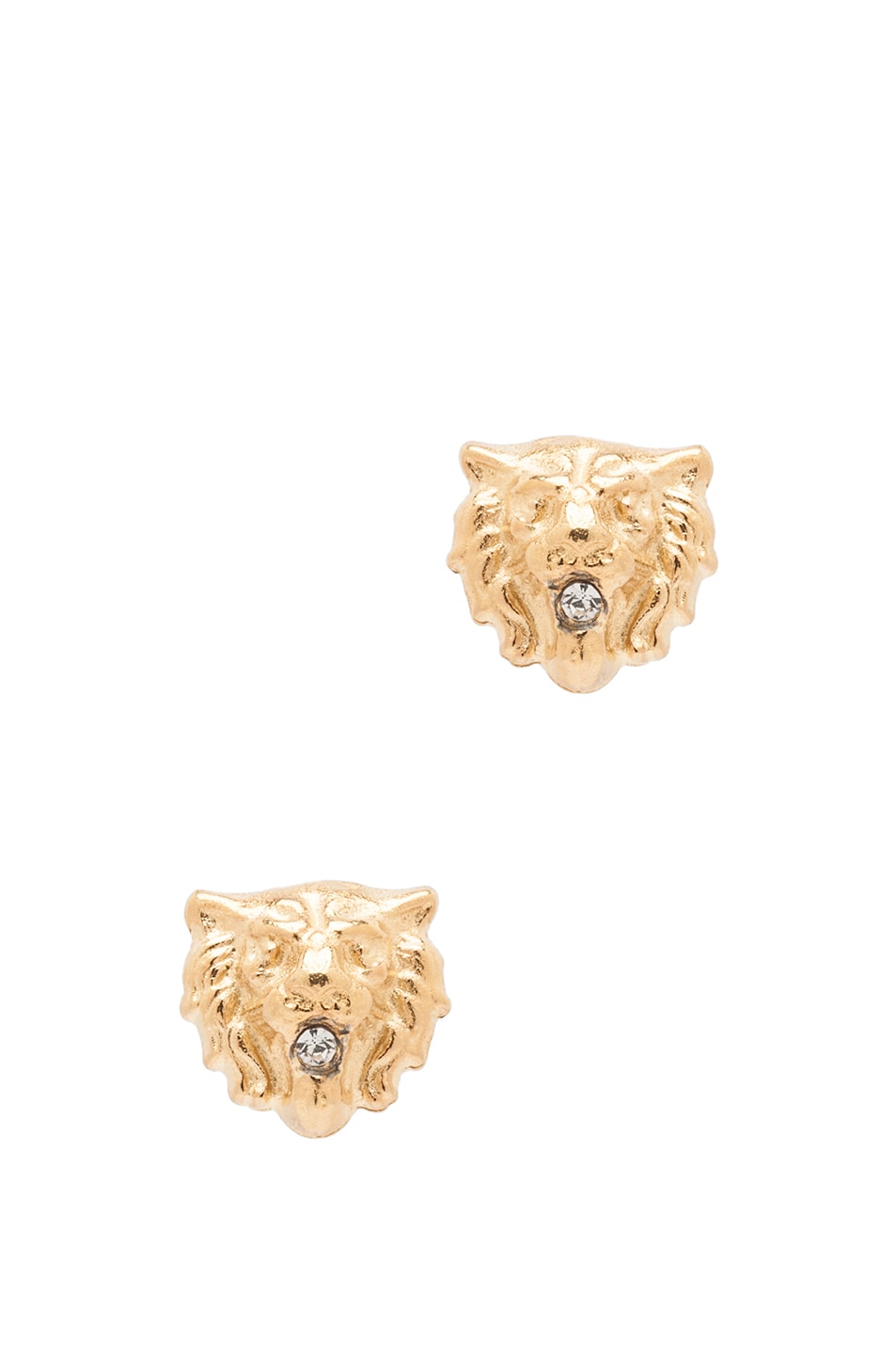 Image 1 of Tom Binns Lion Plated Earrings in Gold