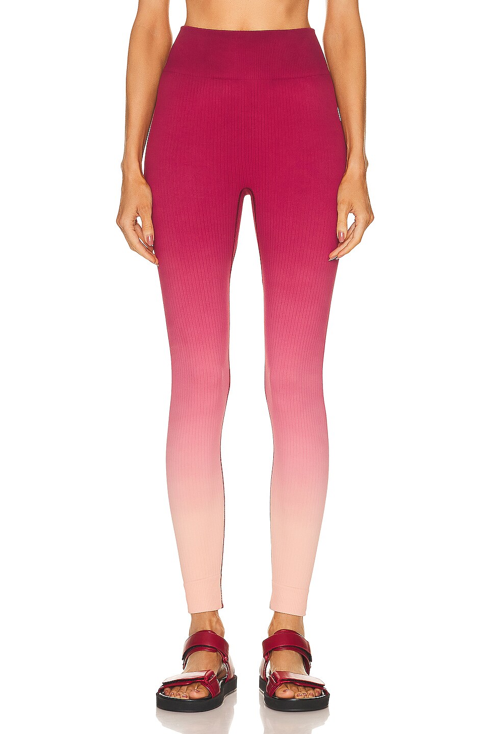 Image 1 of THE UPSIDE Seamless Midi Pant in Red
