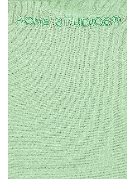 Acne Studios Turtleneck Knit Top in Light Green | FWRD