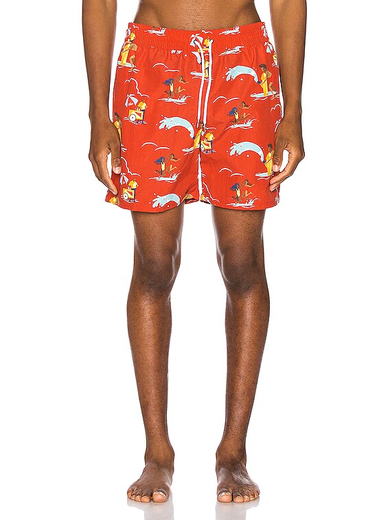 aime leon dore swim shorts