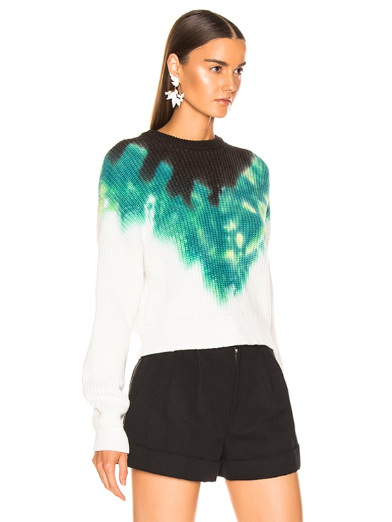 alc tie dye sweater