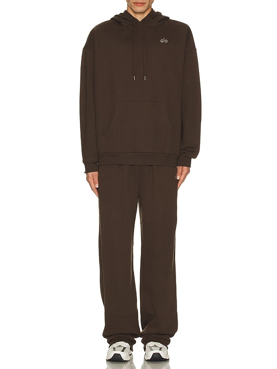 alo Accolade Hoodie in Espresso | FWRD