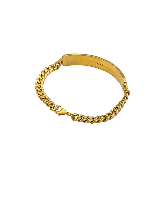 Darwin Gourmette Bracelet