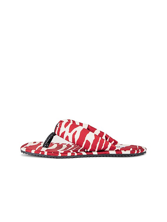 Zebra Printed Indie Flat Thong Sandal