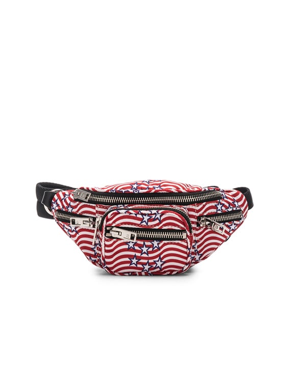 mini fanny pack