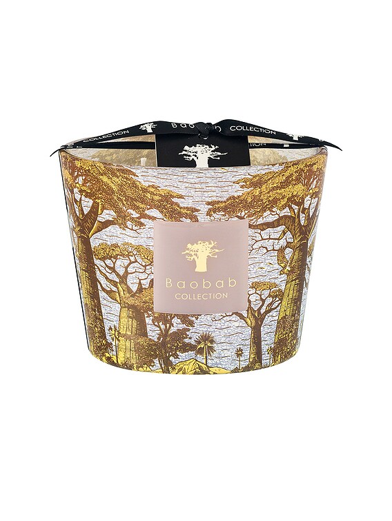 Baobab Collection Bounkani Max 10 Candle | FWRD