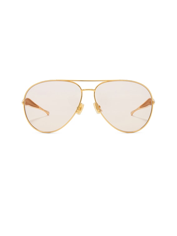 Sardine Sunglasses