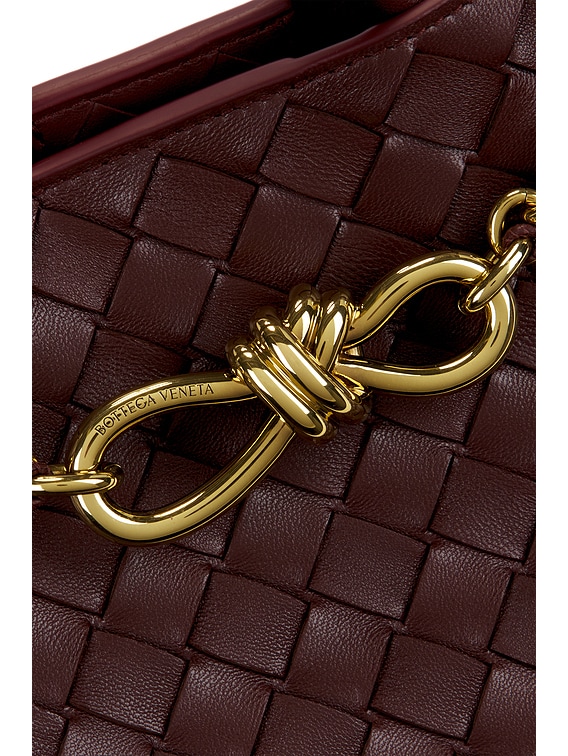 Bottega Veneta Small Andiamo Bag in Madder Brown & Muse