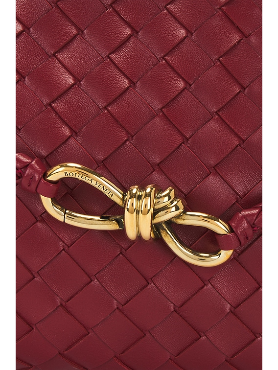 Bottega Veneta East West Andiamo Bag in Rosewood & Muse Bottega Veneta East West Andiamo Bag in Rosewood & Muse