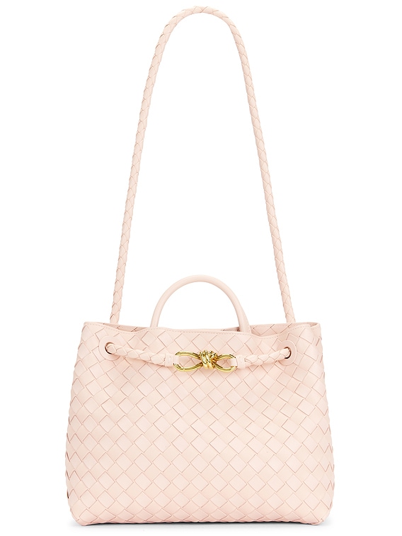 Bottega Veneta Medium Andiamo Bag in Cameo & Muse Brass | FWRD