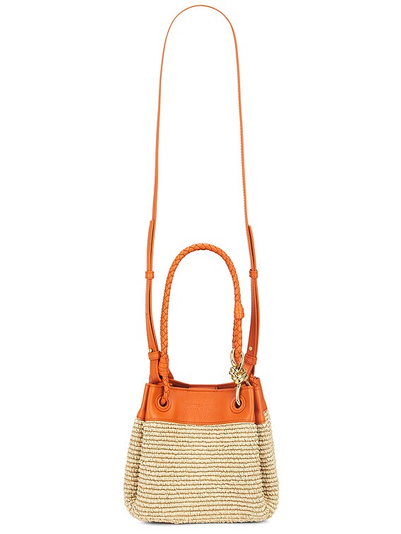 Bottega Veneta Small Parachute Raffia Bag in Natural, Burned