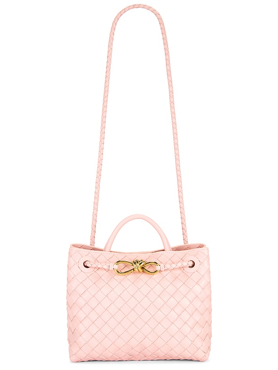 Bottega Veneta Small Andiamo Bag in Rose & Muse Brass | FWRD