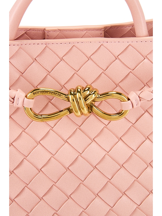 Bottega Veneta Small Andiamo Bag in Rose & Muse Brass | FWRD