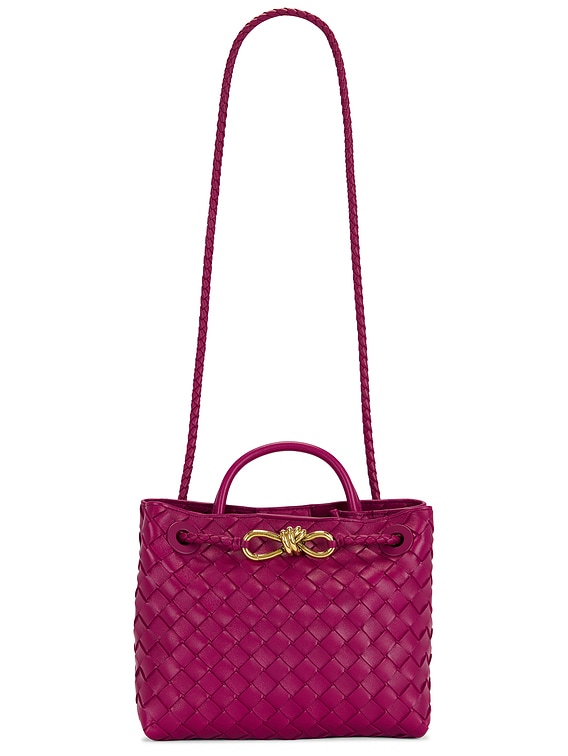 モモちゃん専用　新品BOTTEGA VENETA Bottega Veneta Small Andiamo Bag in Cinnabar & Muse Brass | FWRD