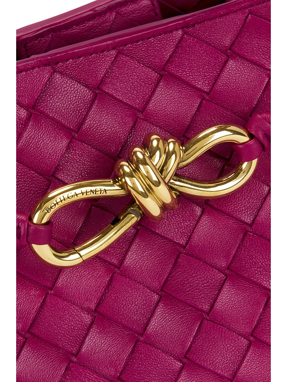 Bottega Veneta Small Andiamo Bag in Cinnabar & Muse Brass | FWRD