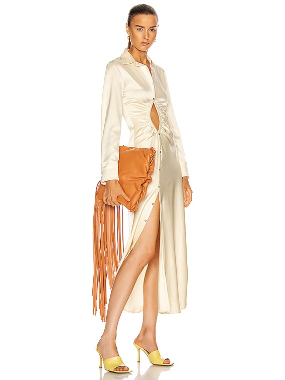 Bottega Veneta The Fringe Pouch in Clay & Gold | FWRD