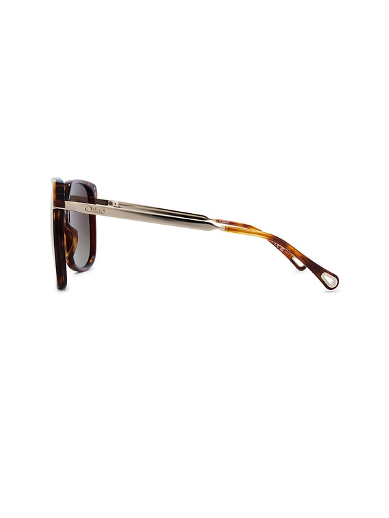 Chloe Aly Sunglasses in Havana, Gold, & Brown | FWRD