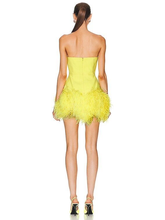 Ostrich feather hotsell mini dress