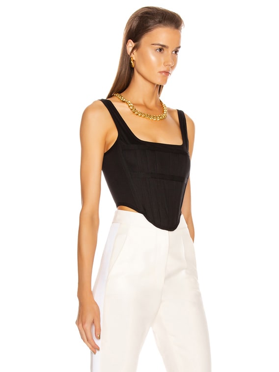 dion lee sheer bustier top