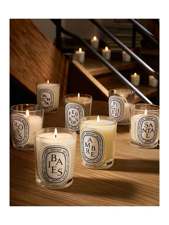 Diptyque Santal Classic Candle | FWRD