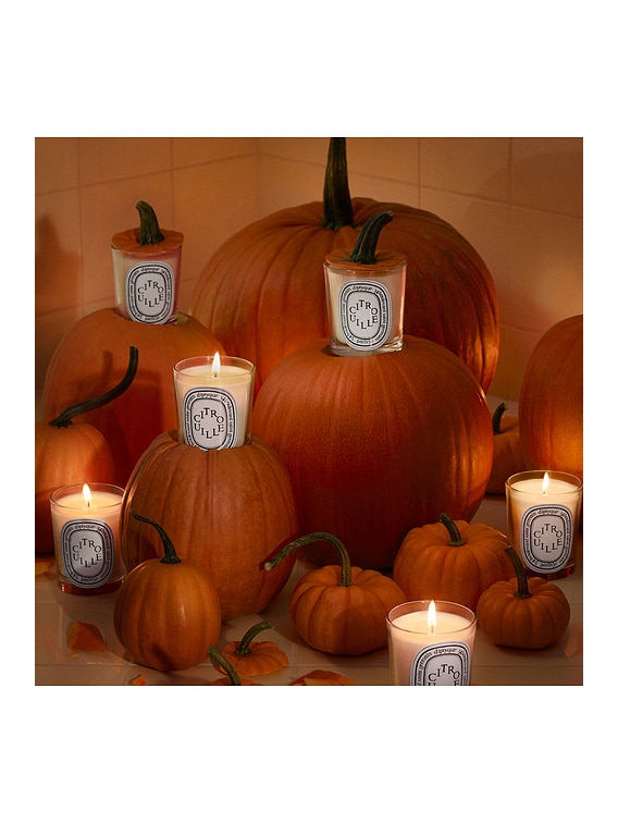 Diptyque Citrouille Pumpkin Candle | FWRD