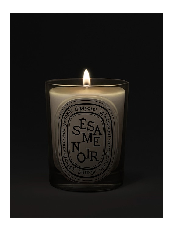 Diptyque Sesame Noir Classic Candle | FWRD