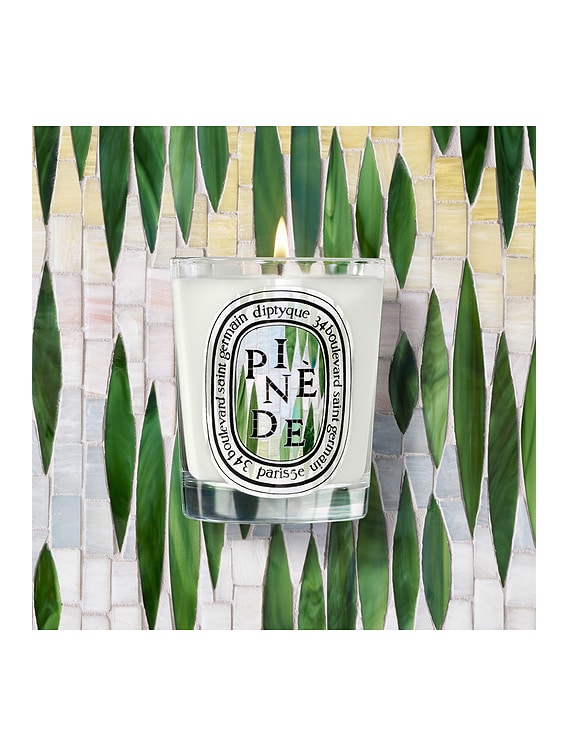 Diptyque Pinede Classic Candle | FWRD