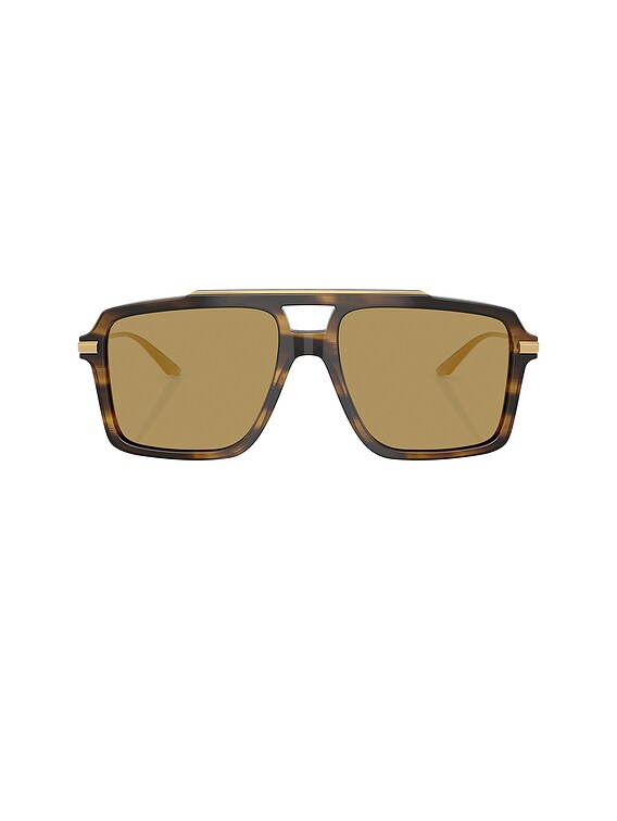 Shield Sunglasses
