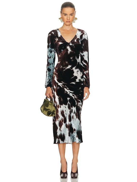 Dries Van Noten Duska Dress in Brown | FWRD