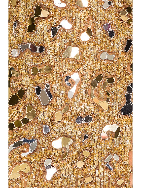 Dundas Embroidered Dress in Gold | FWRD