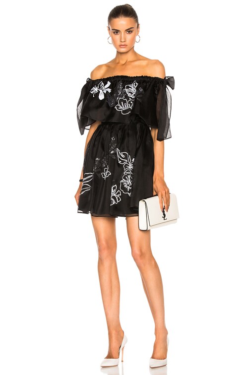 Fendi Embroidered Garden Organza Dress in Black | FWRD