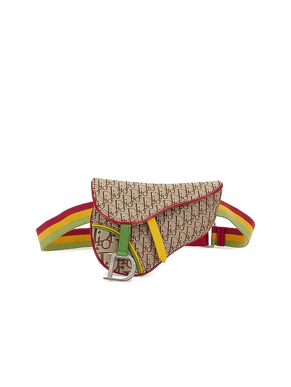 FWRD Renew Dior Trotter Rasta Saddle Belt Bag in Multicolor