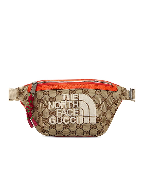 FWRD Renew Gucci X North Face Belt Bag in Brown | FWRD