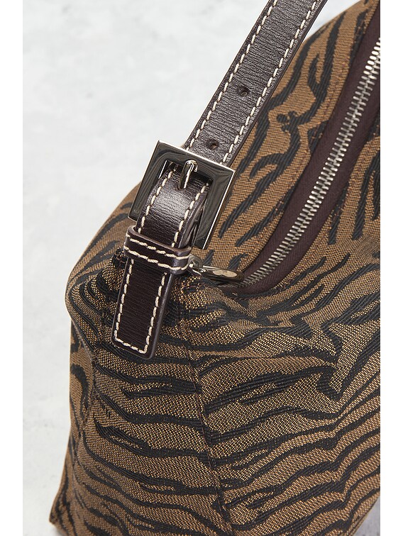 FWRD Renew Fendi Zebra Handbag in Brown | FWRD