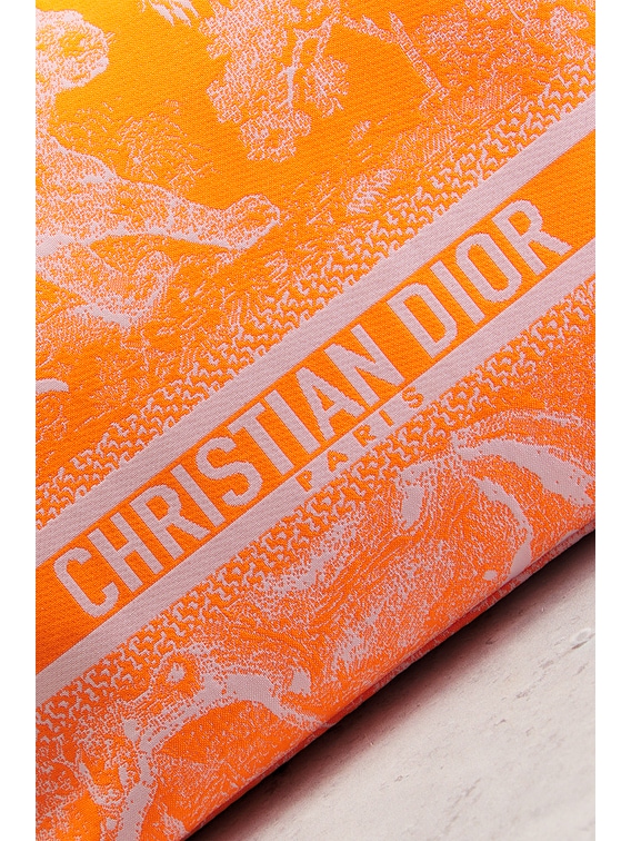 FWRD Renew Dior Toile De Jouy Diortravel Nomad Pouch in Orange | FWRD